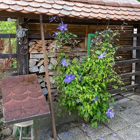 Pocitniska Hisa Eva * Velike Lasce