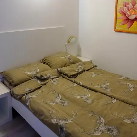 Pocitniska Hisa Eva * Velike Lasce